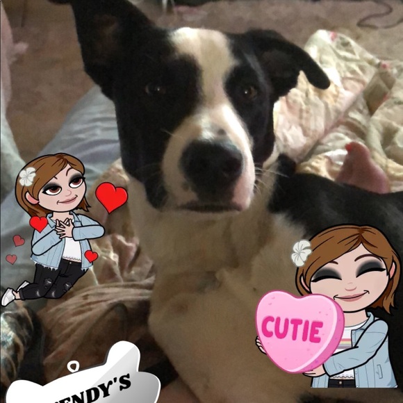 We Finally Did It! - Picture 5 of 8